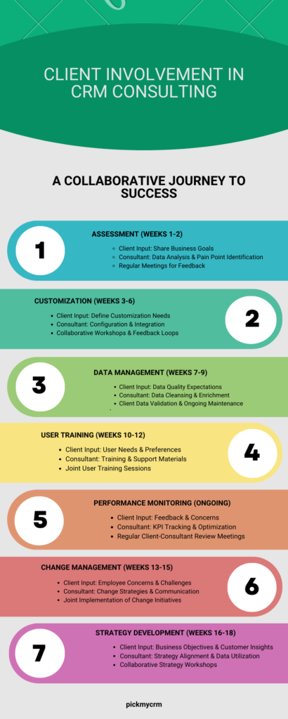 Client Involvement in CRM Consulting